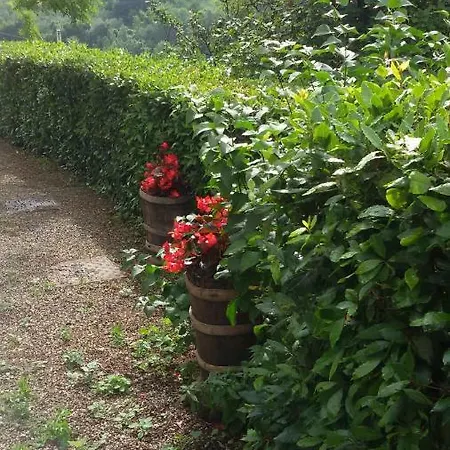 Complesso Colonico Pogginano Pelago