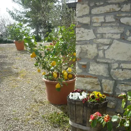 Εξοχικό σπίτι Complesso Colonico Pogginano Pelago